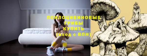 наркотики Алексин