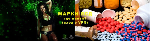 молекула духа Алзамай
