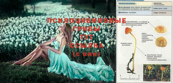 прущие грибы Алексеевка